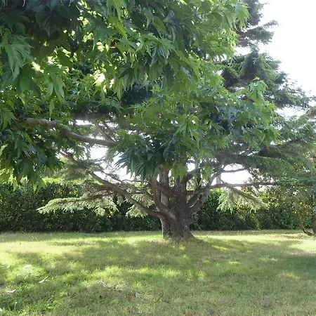 Villa Brise De L Ocean *