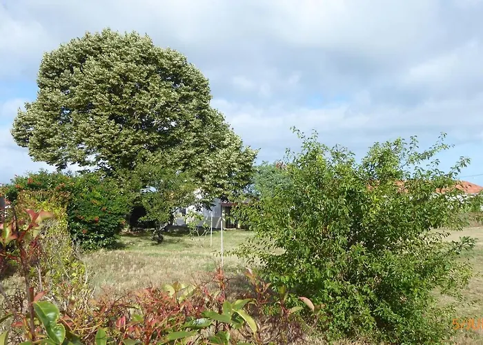 Villa Brise De L Ocean