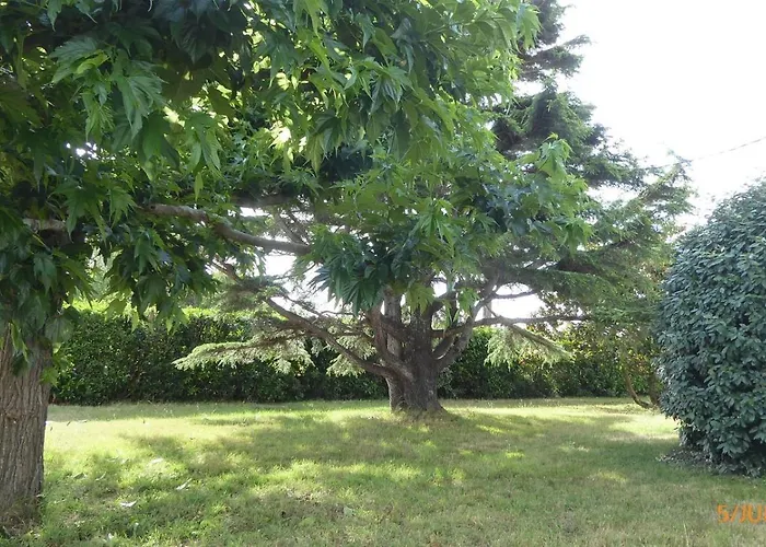 Villa Brise De L Ocean *